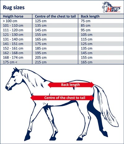 Harry's Horse Exercise Sheet Reflective