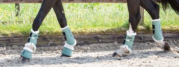 fossiel retort kader Wat zijn de juiste peesbeschermers voor mijn paard? - BudgetRuitershop.nl